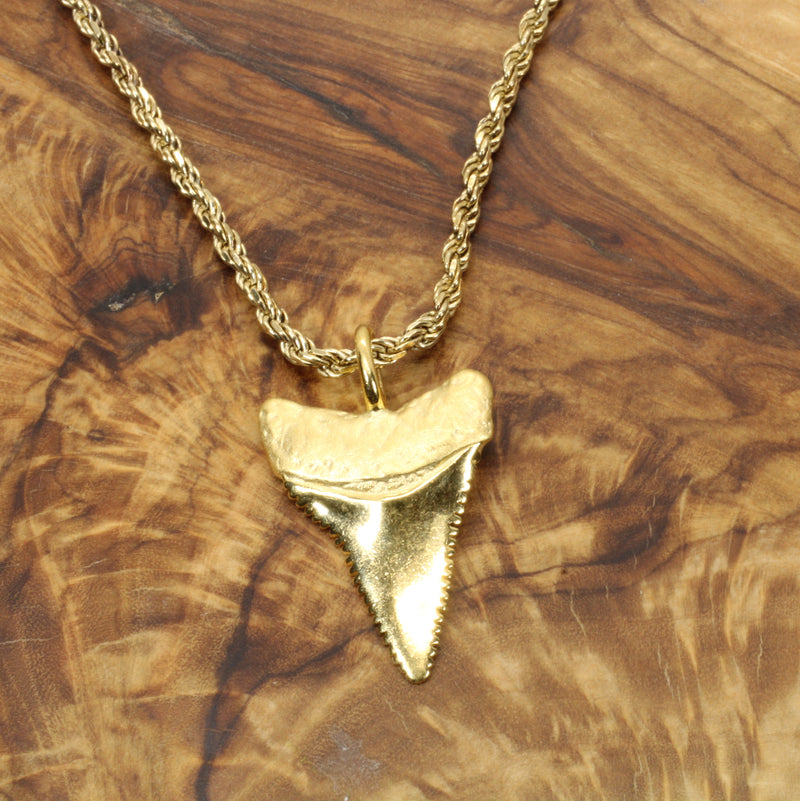 Gold Shark Tooth Necklace for him or her made in 14kt gold vermeil