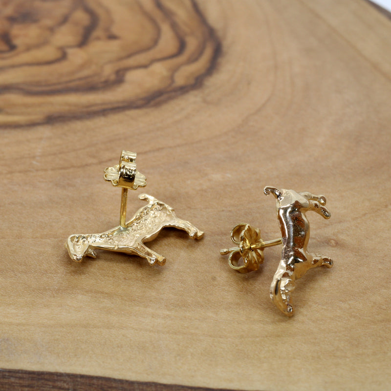 14kt Solid Gold Boer Goat Stud Earrings for her