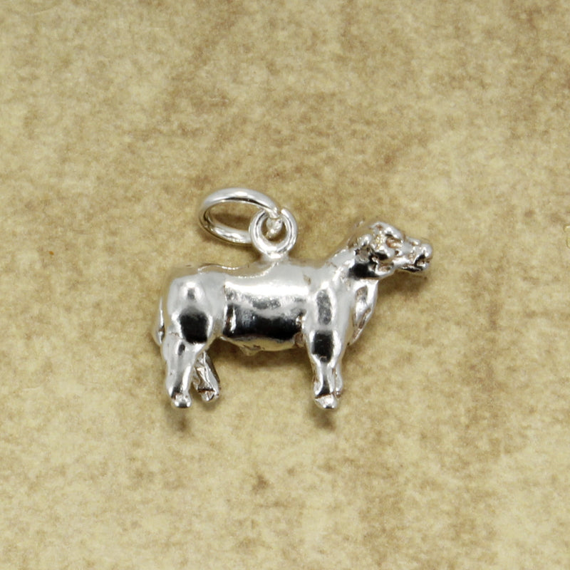 Agrijewelry has coton boll jewelry for the cotton farmer's wife