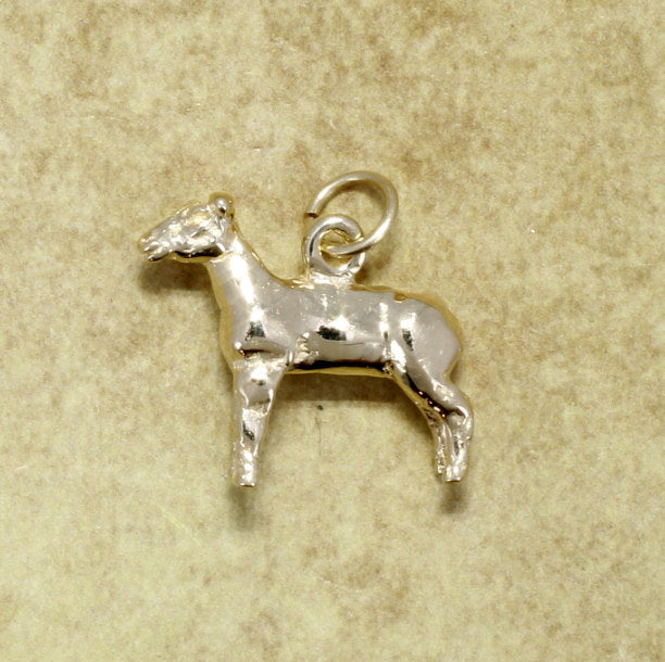 Agrijewelry has coton boll jewelry for the cotton farmer's wife