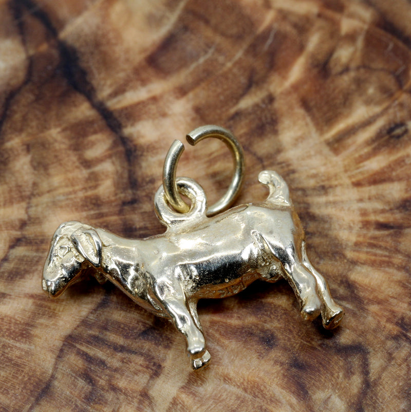 Gold Goat Without Horns Charm with a Solid 14kt Yellow Gold 3-D Boer Goat
