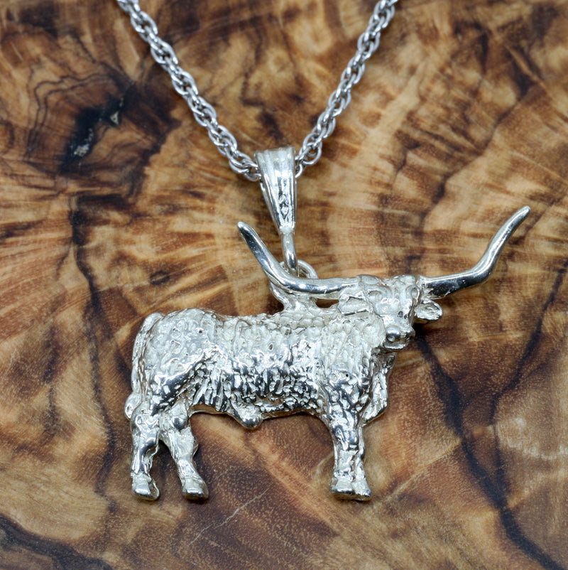 Texas Longhorn Set of Necklace and Earrings with medium 2-d Longhorns