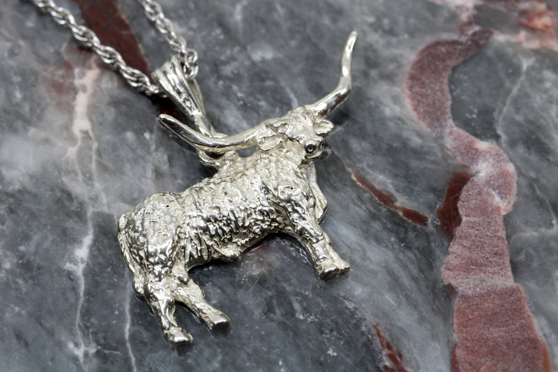 Texas Longhorn Set of Necklace and Earrings with medium 2-d Longhorns