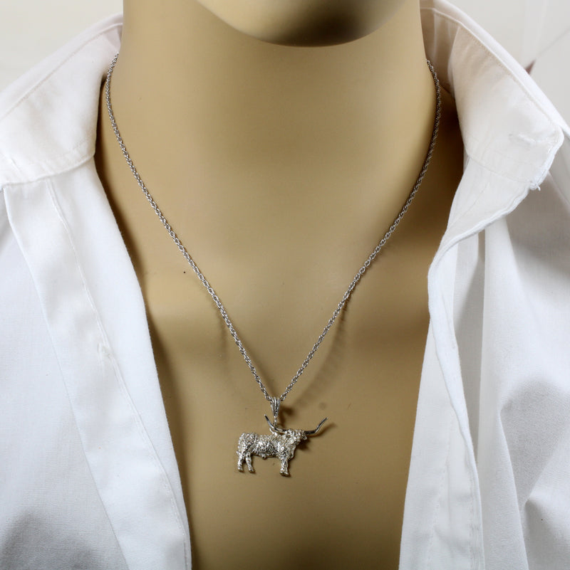 Texas Longhorn Set of Necklace and Earrings with medium 2-d Longhorns