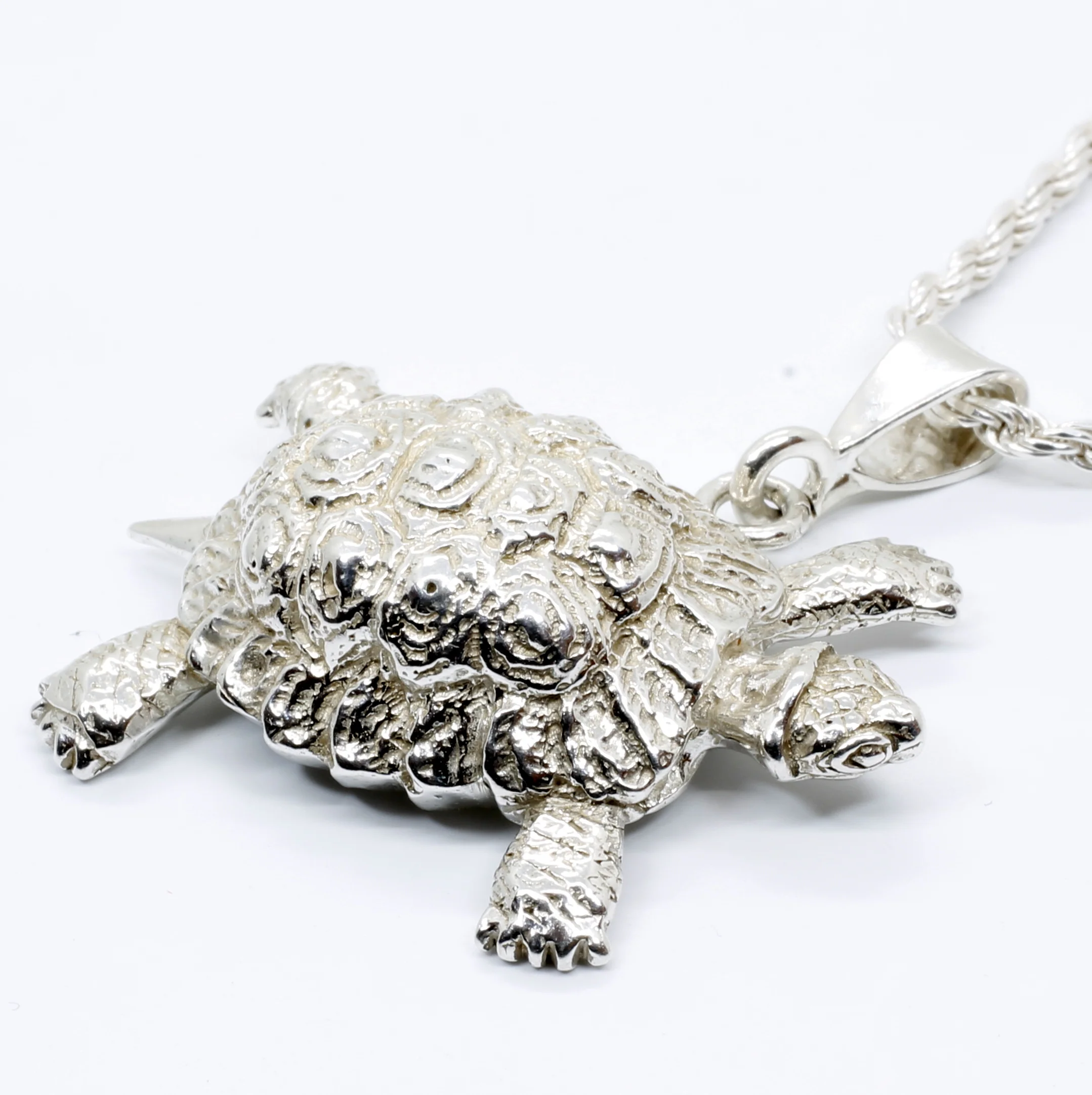 What is the spiritual meaning of the turtle charm?
