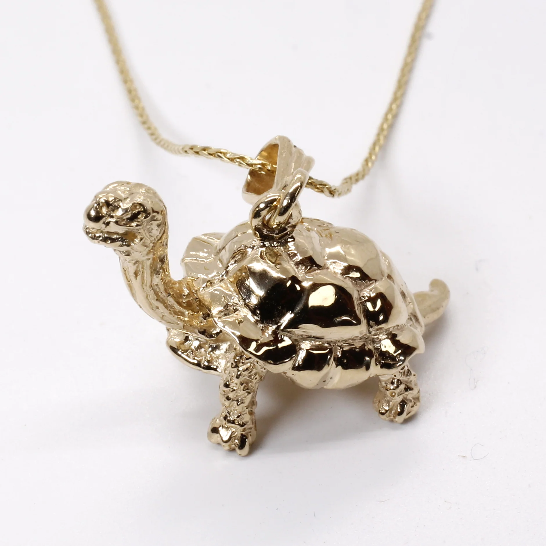 Can you own a Galapagos tortoise?