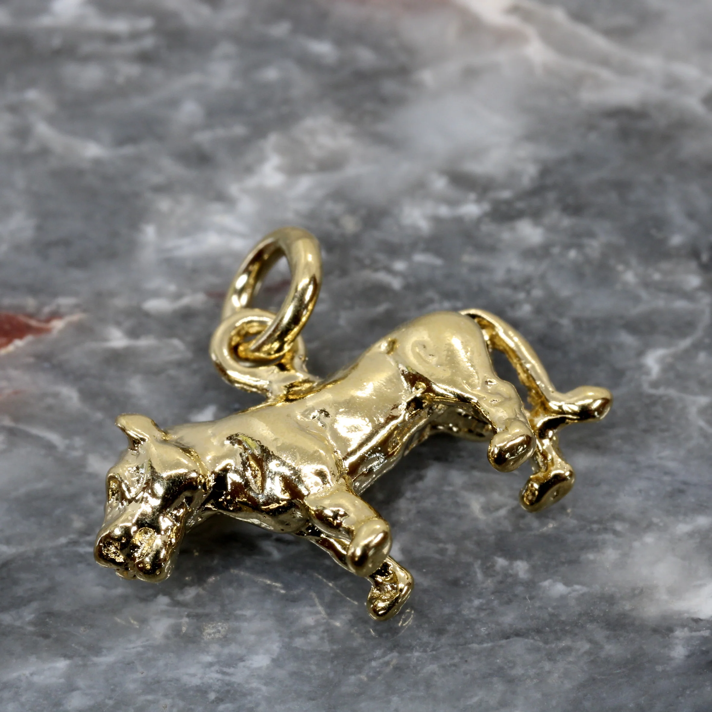 What is the material of the lioness charm?