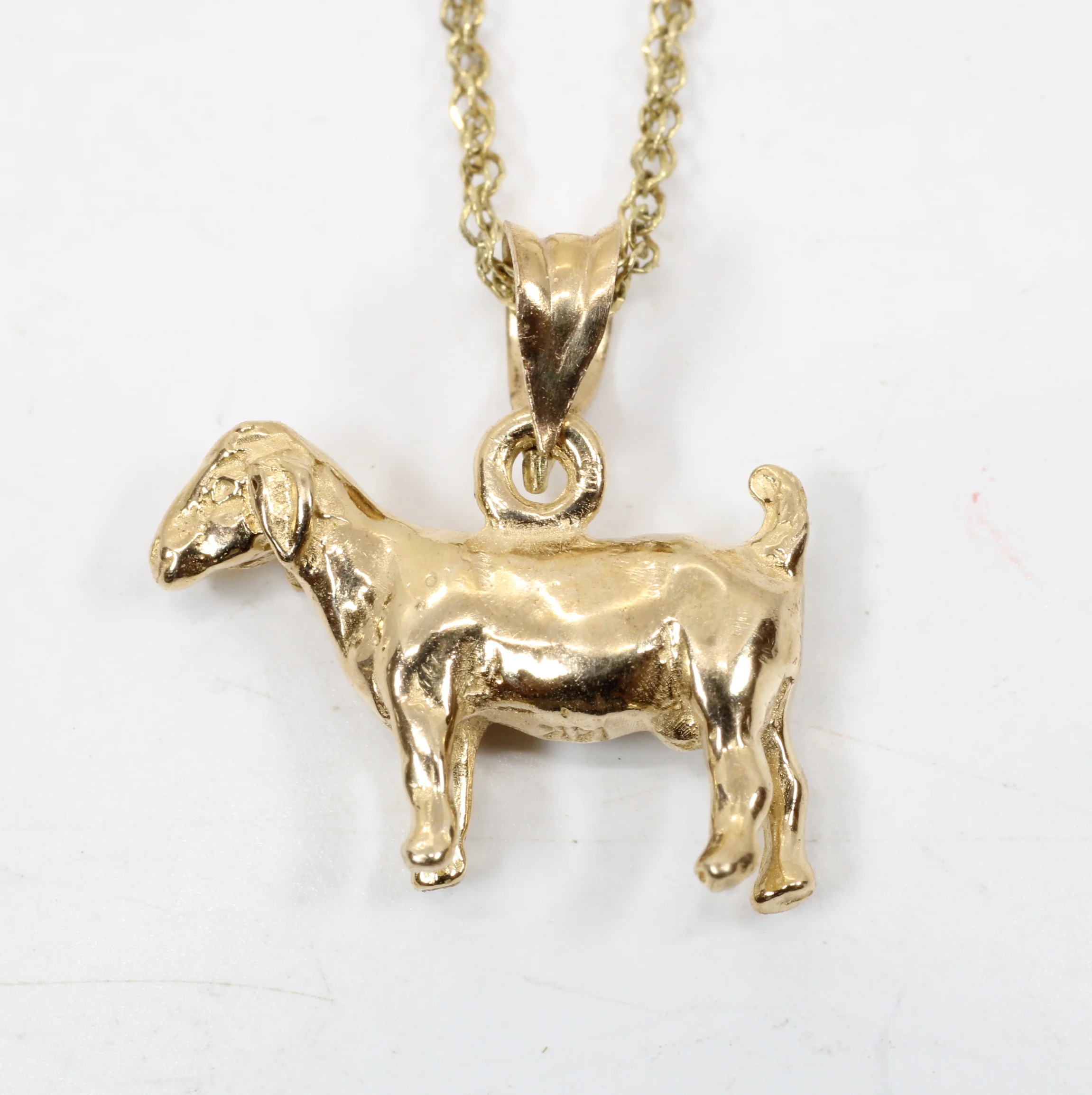 Gold Goat Without Horns Necklace with a Solid 14kt Yellow Gold 3-D Boer Goat Questions & Answers