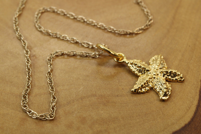 Gold 3-D Starfish Necklace for her made in 14kt gold vermeil