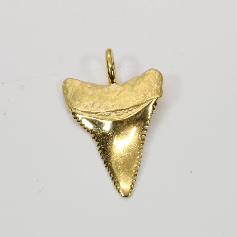 Gold Shark Tooth Necklace for him or her made in 14kt gold vermeil