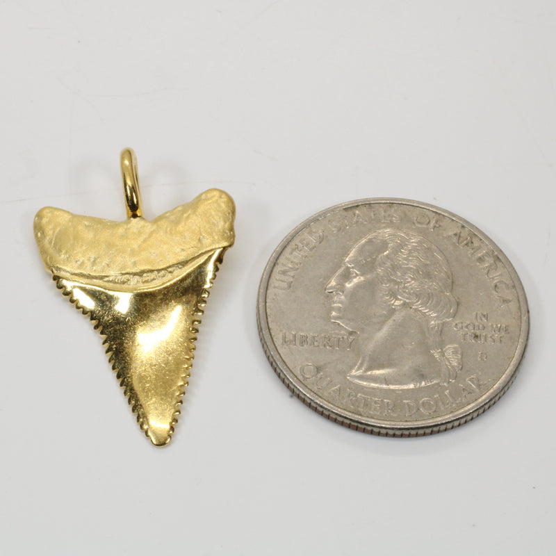 Gold Shark Tooth Necklace for him or her made in 14kt gold vermeil