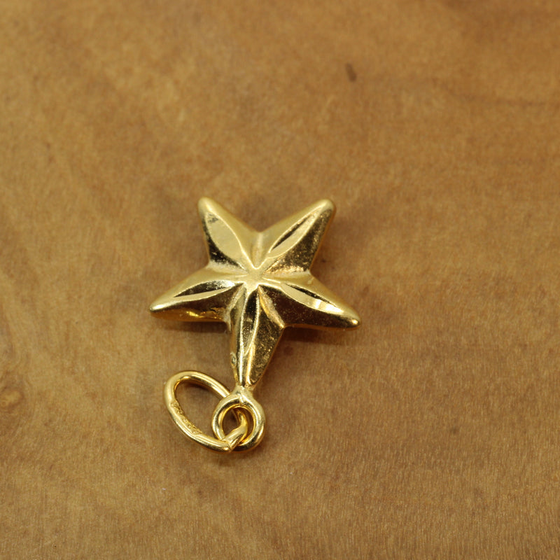 Gold Small 3-D Star Necklace made in 14kt gold vermeil for him or her