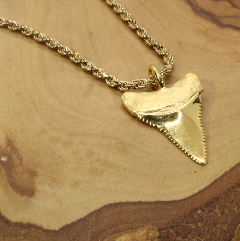 Gold Shark Tooth Necklace for him or her made in 14kt gold vermeil