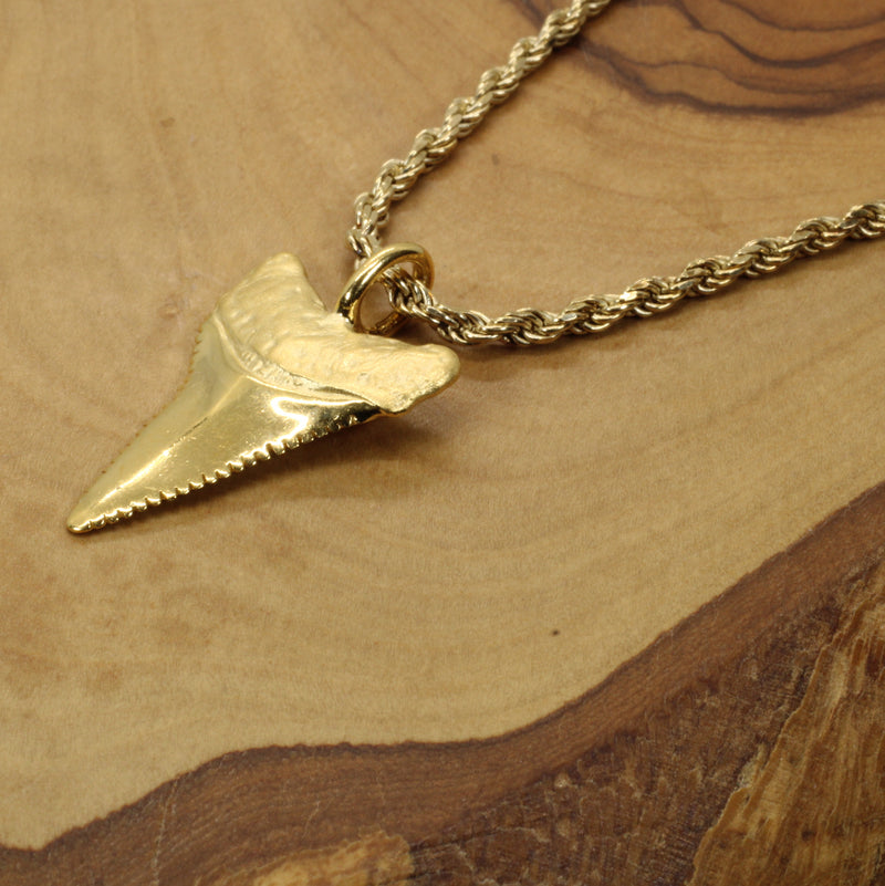 Gold Shark Tooth Necklace for him or her made in 14kt gold vermeil