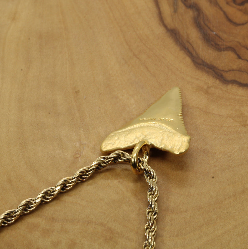 Gold Shark Tooth Necklace for him or her made in 14kt gold vermeil