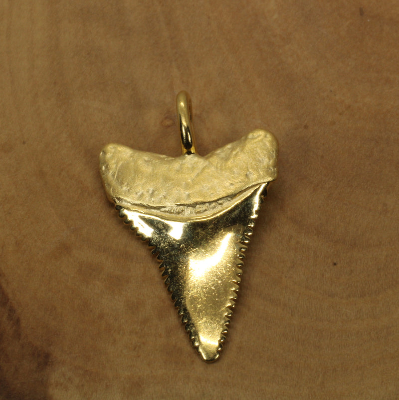 Gold Shark Tooth Necklace for him or her made in 14kt gold vermeil