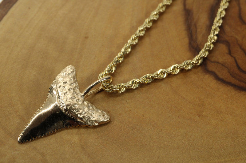 Large 14kt Gold Shark Tooth Necklace for him or her made in real 14kt gold