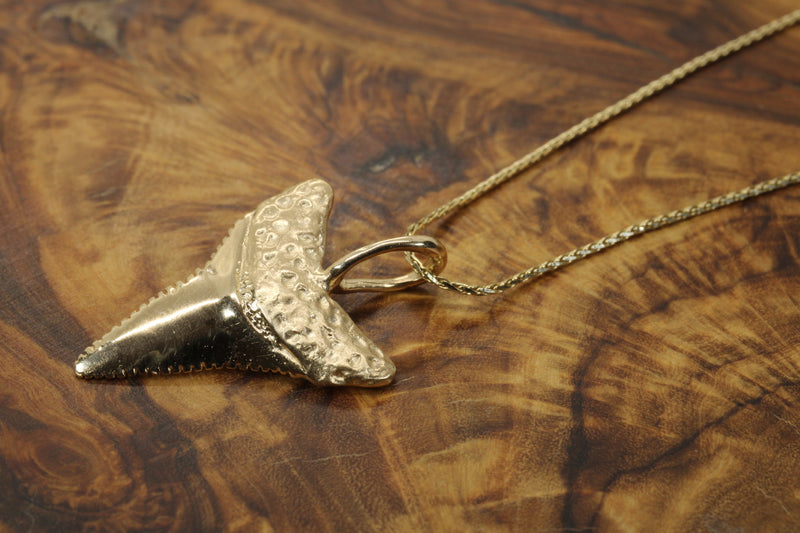 Large 14kt Gold Shark Tooth Necklace for him or her made in real 14kt gold