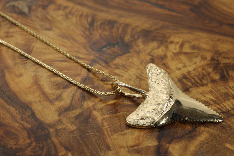 Large 14kt Gold Shark Tooth Necklace for him or her made in real 14kt gold