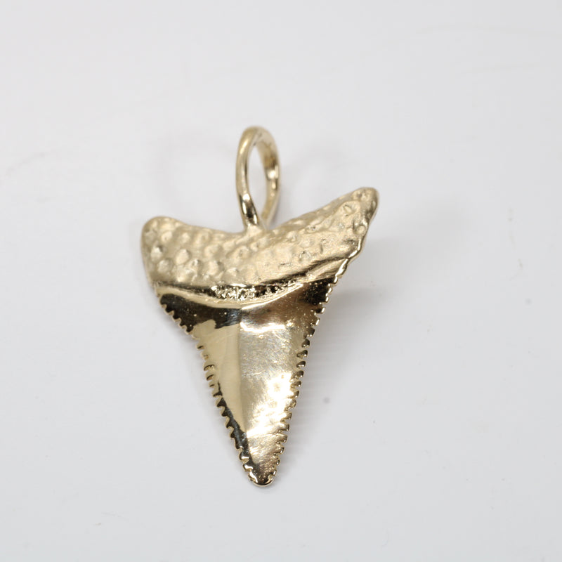 Large 14kt Gold Shark Tooth Necklace for him or her made in real 14kt gold