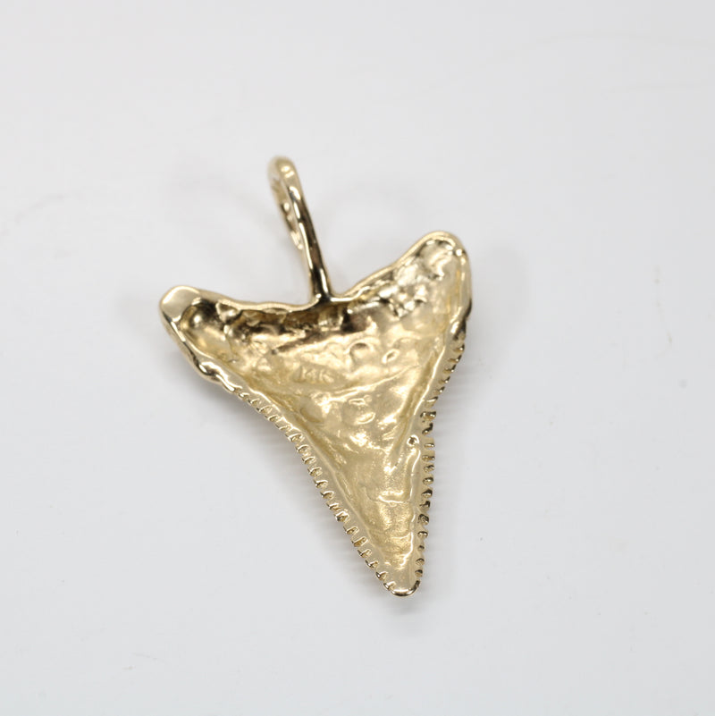 Large 14kt Gold Shark Tooth Necklace for him or her made in real 14kt gold