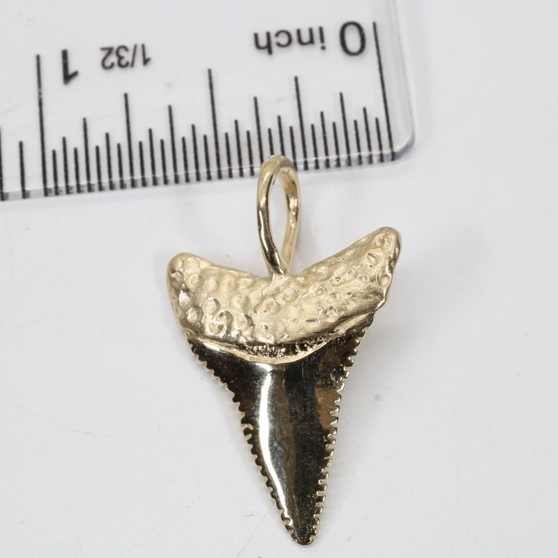 Large 14kt Gold Shark Tooth Necklace for him or her made in real 14kt gold