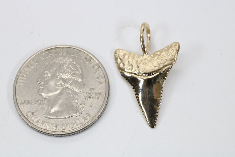 Large 14kt Gold Shark Tooth Necklace for him or her made in real 14kt gold