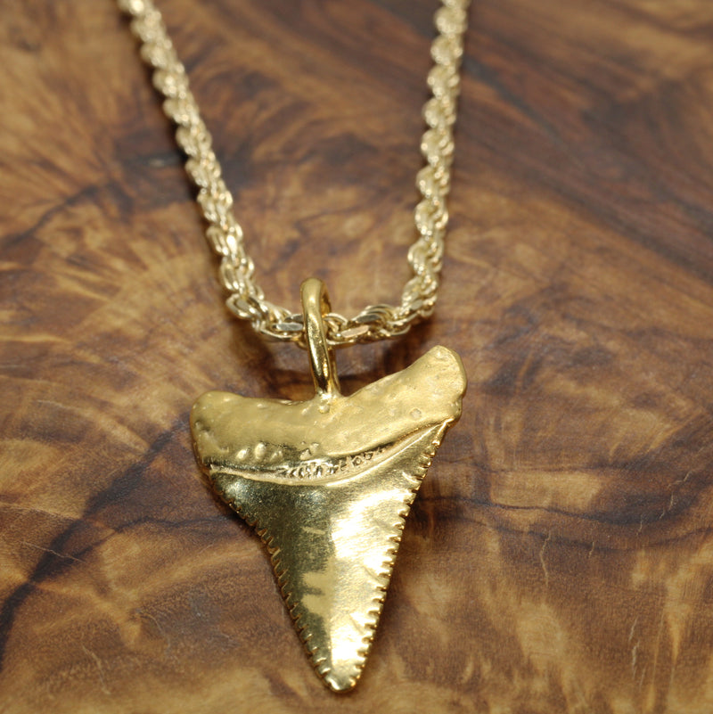 Large Gold Shark Tooth Necklace with large bail in 14kt gold vermeil