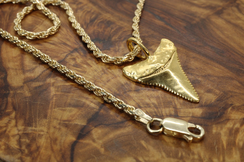 Large Gold Shark Tooth Necklace with large bail in 14kt gold vermeil