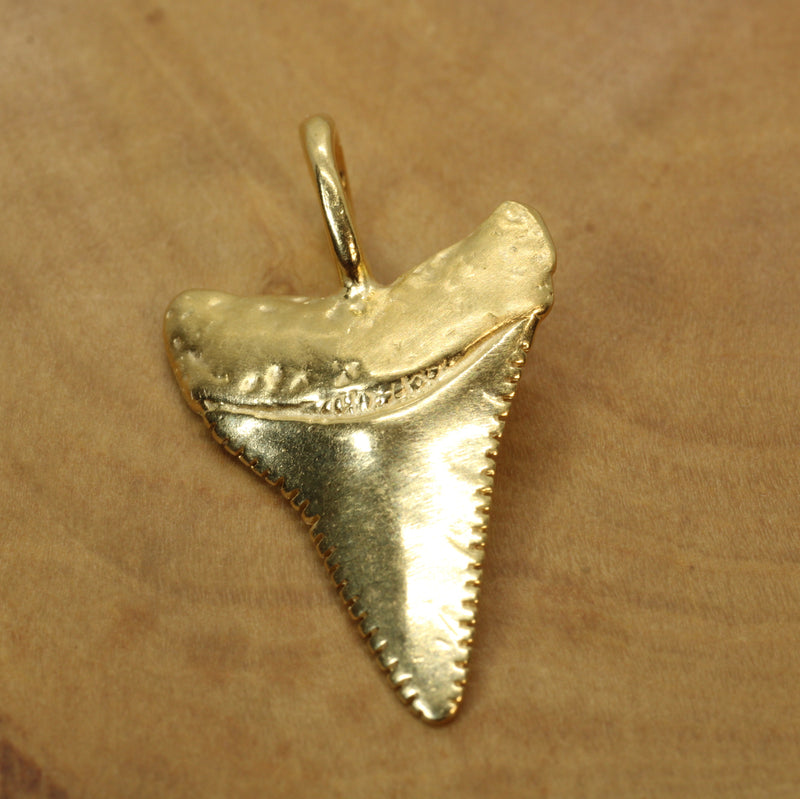 Large Gold Shark Tooth Necklace with large bail in 14kt gold vermeil