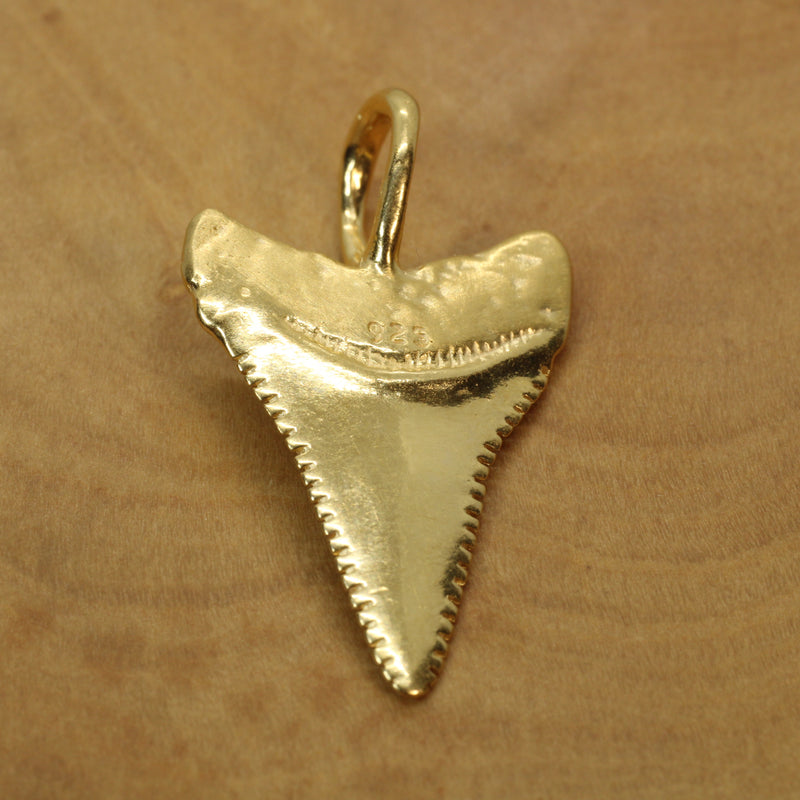 Large Gold Shark Tooth Necklace with large bail in 14kt gold vermeil