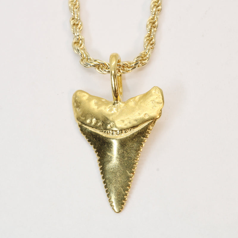 Large Gold Shark Tooth Necklace with large bail in 14kt gold vermeil