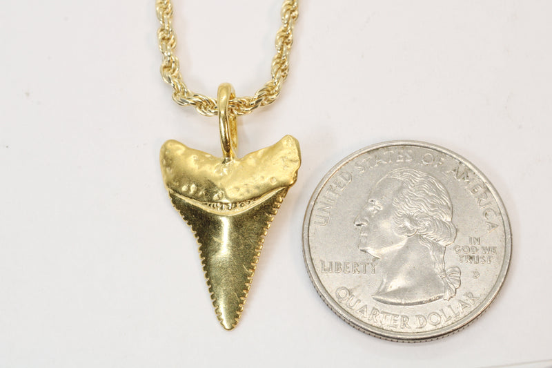 Large Gold Shark Tooth Necklace with large bail in 14kt gold vermeil