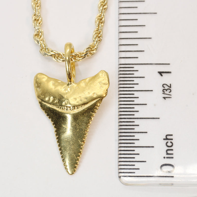 Large Gold Shark Tooth Necklace with large bail in 14kt gold vermeil