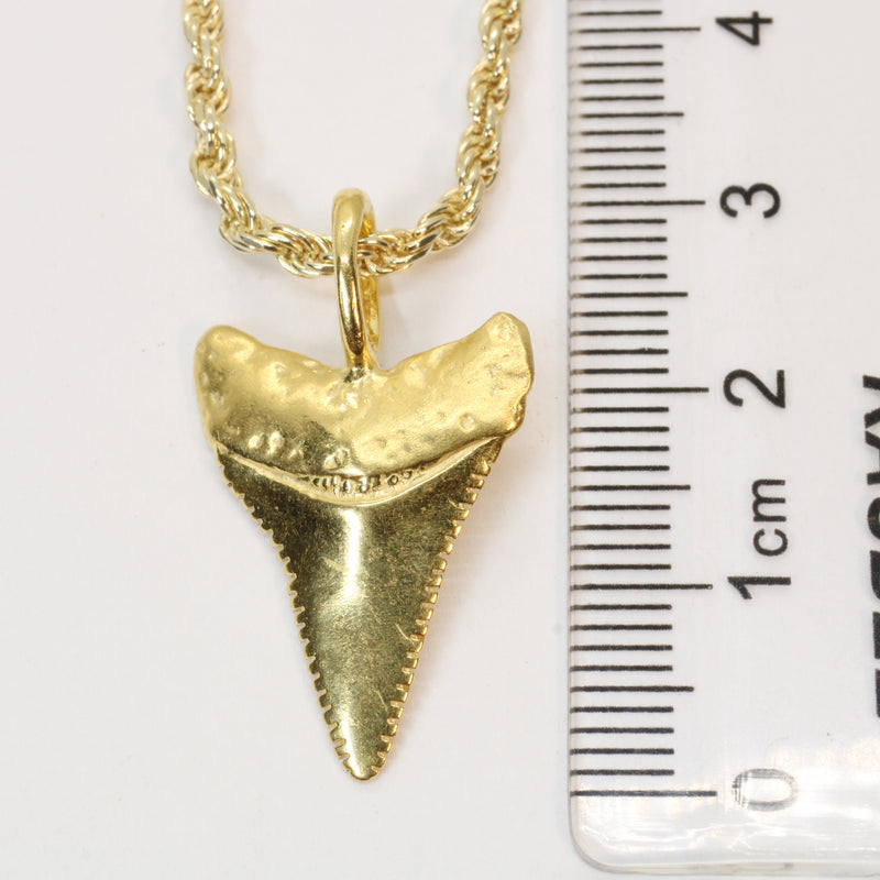 Large Gold Shark Tooth Necklace with large bail in 14kt gold vermeil