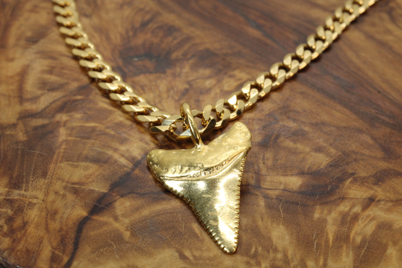 Large Gold Shark Tooth Necklace with large bail in 14kt gold vermeil
