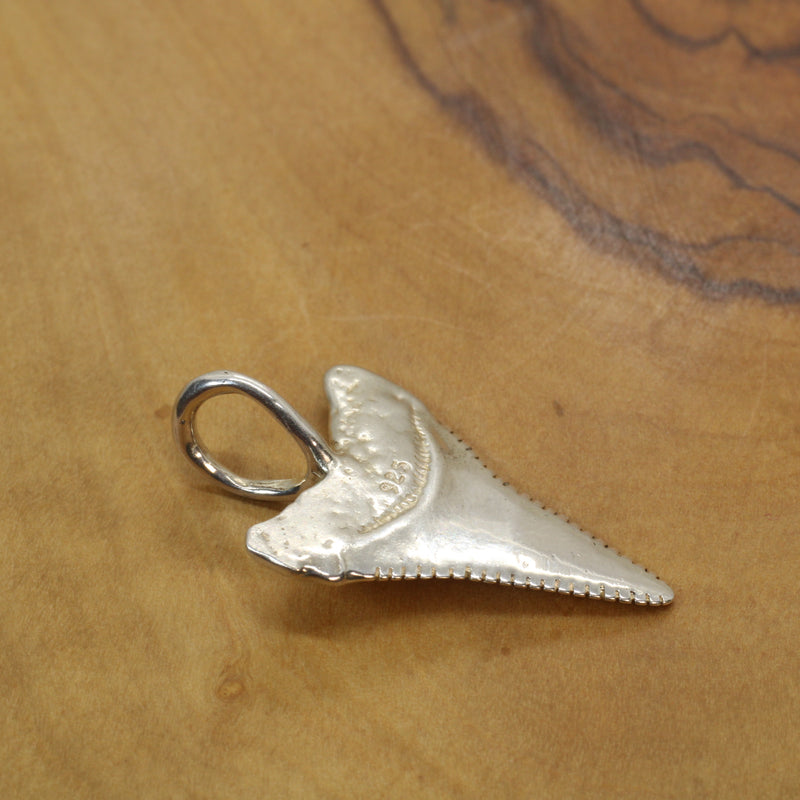 Silver Shark Tooth Necklace with large loop made in 925 Sterling Silver