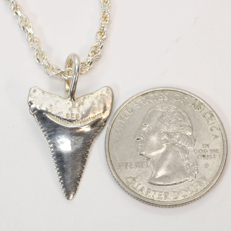 Silver Shark Tooth Necklace with large loop made in 925 Sterling Silver