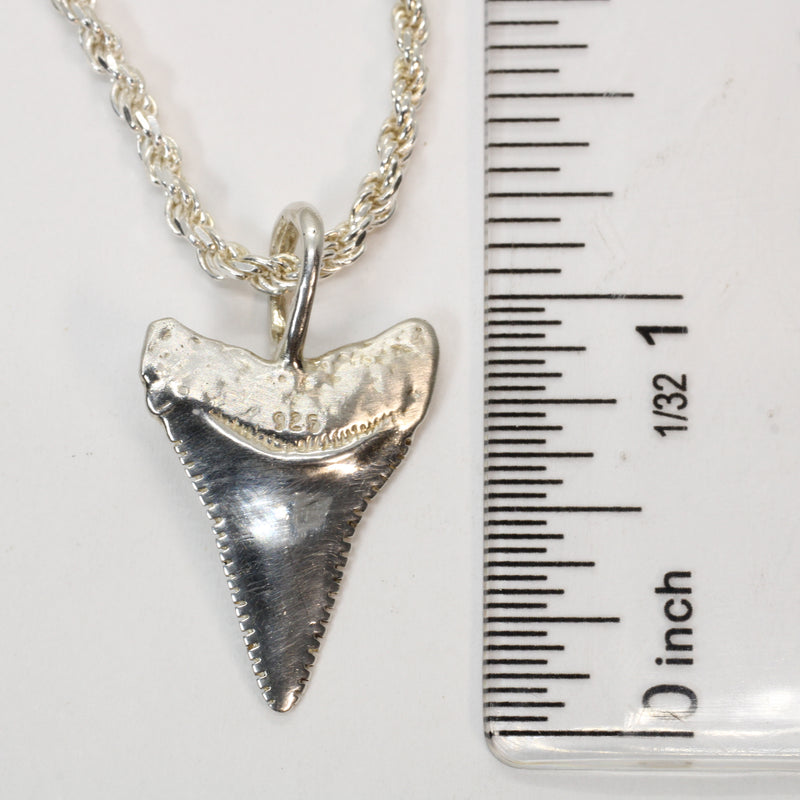 Silver Shark Tooth Necklace with large loop made in 925 Sterling Silver