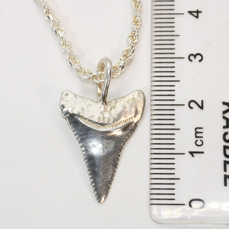 Silver Shark Tooth Necklace with large loop made in 925 Sterling Silver