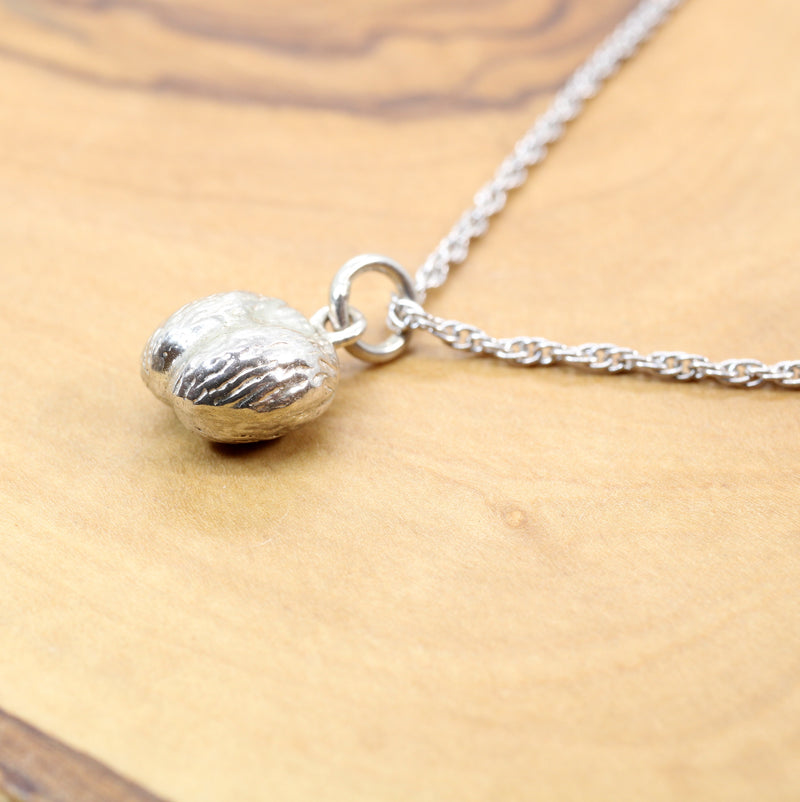 Silver Coco De mer Seed necklace, earrings, or charm in 925 Sterling