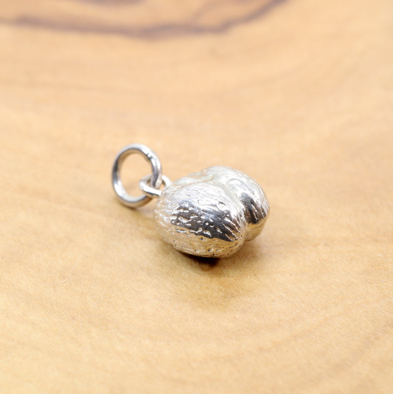 Silver Coco De mer Seed necklace, earrings, or charm in 925 Sterling