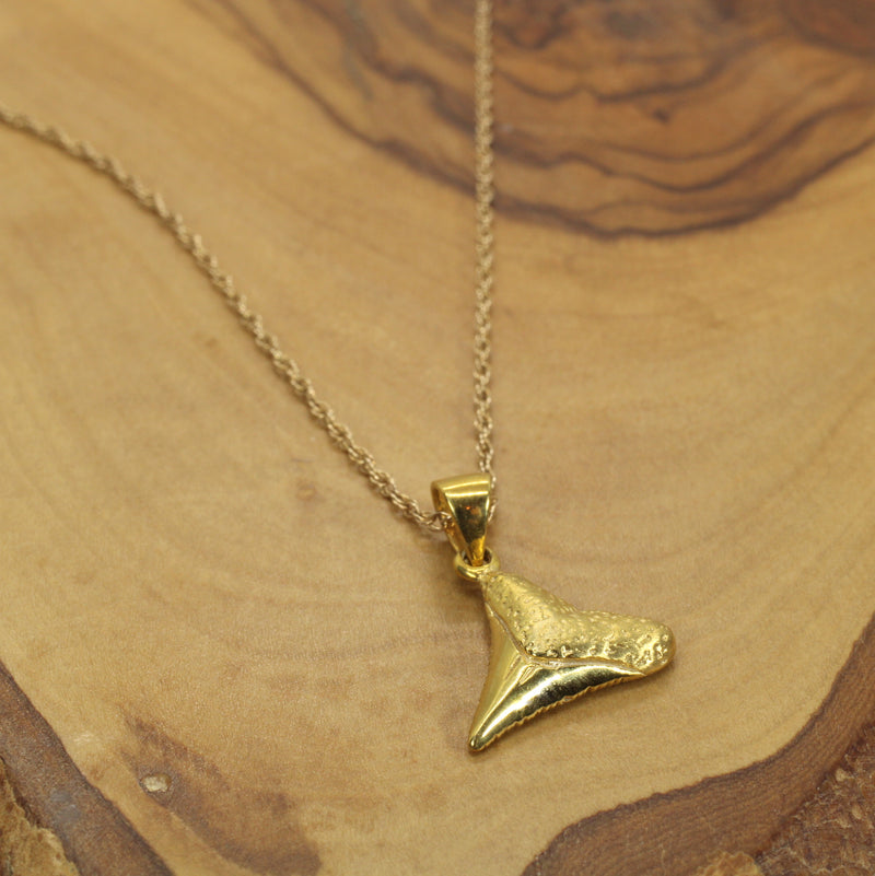 Small Gold Shark Tooth Necklace for him or her made in 14kt gold vermeil