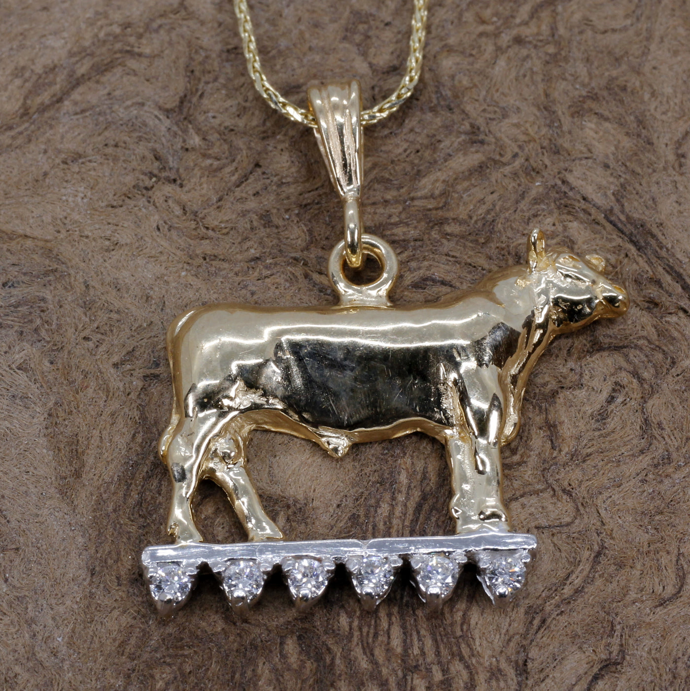 Prize Angus Necklace in Solid 14kt gold on diamond lighted stage – Chaney